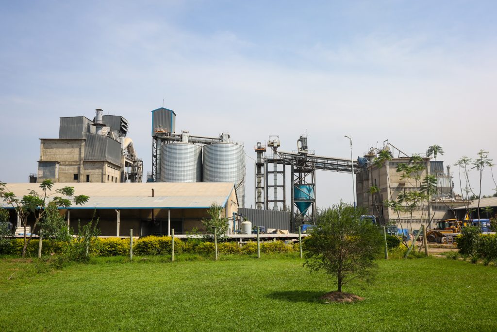 Premium Quality Cement